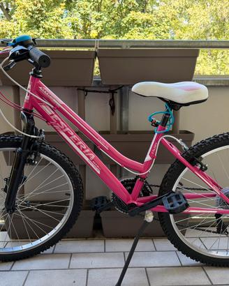 Bici MTB  24