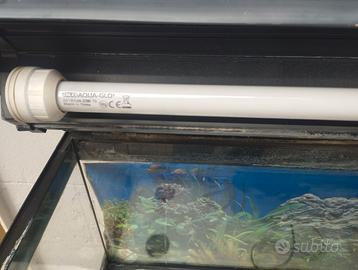Acquario 85 liri