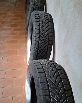 gomme invernali