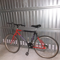Bicicletta Mountain bike