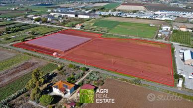 Terreno agricolo di 4 ettari con serre e pozzo