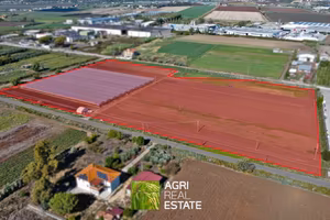 Terreno agricolo di 4 ettari con serre e pozzo