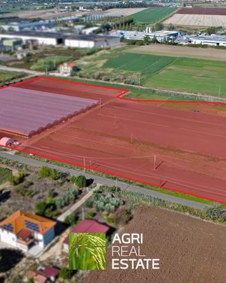Terreno agricolo di 4 ettari con serre e pozzo