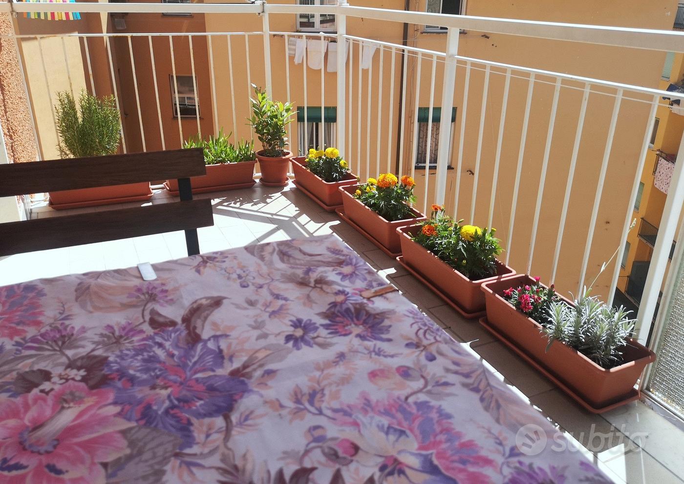 Appartamento – Rapallo, Borzoli, San Michele di Pagana - Altro
