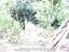 Immagine 29
