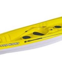 Canoa bic 3 posti con carrello