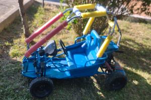 buggy 50
