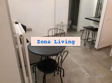 CORNELIA MONOLOCALE ARREDATO Con TERRAZZO PRIVATO