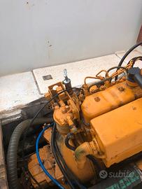 Entrobordo vetus