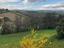 Immagine 12