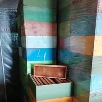 apicoltura melari con telaini costruiti api miele