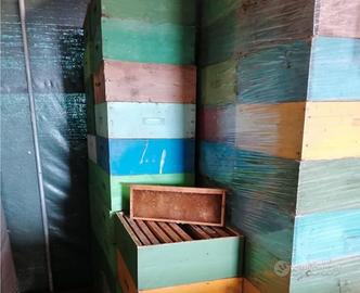 apicoltura melari con telaini costruiti api miele