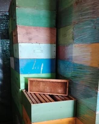 apicoltura melari con telaini costruiti api miele