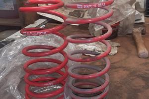 molle auto ribassate