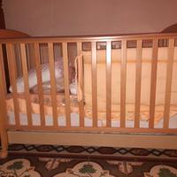 Culla PICCI pari al nuovo