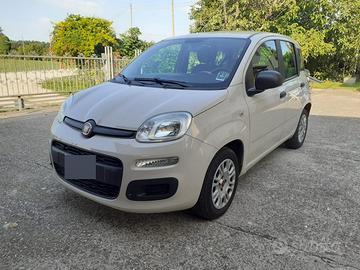 Fiat Panda 1.2 benzina