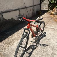 Bici mountain bike per bambini  