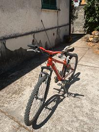 Bici mountain bike per bambini  