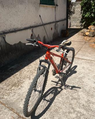 Bici mountain bike per bambini  