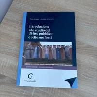 Diritto pubblico libro