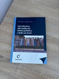 Diritto pubblico libro