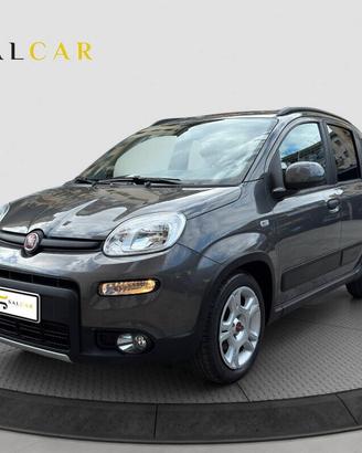 Fiat Panda 1.0 FireFly S&S Hybrid City Cross 2023