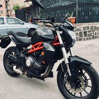 Benelli bn 302 (28 dicembre 2016)