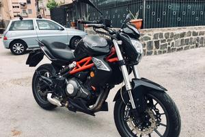 Benelli bn 302 (28 dicembre 2016)
