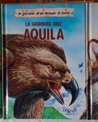 Tre Libri del 1991 della Giornata di un Animale 
