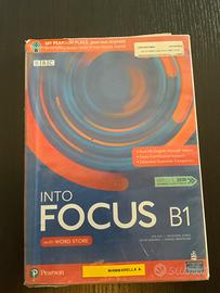 Into FOCUS B1 (9788883395093)