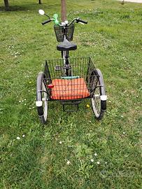 bicicletta tre ruote