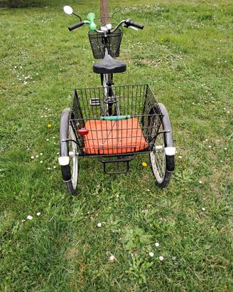 bicicletta tre ruote