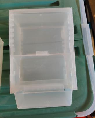 Mangiatoie Anti spreco 