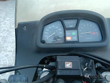 transalp 600v