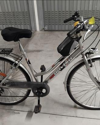 Bicicletta Monviso