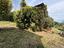 Immagine 23