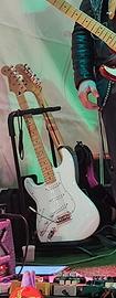 Fender Player series LEFT HANDED