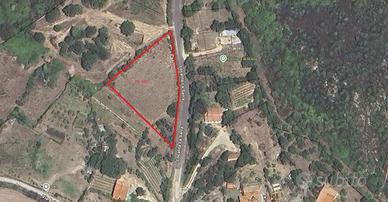 Terreno edificabile in nord Sardegna