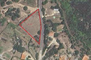 Terreno edificabile in nord Sardegna
