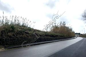 Terreno di 12000 m² a Mondragone