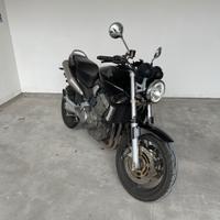 Hornet 900