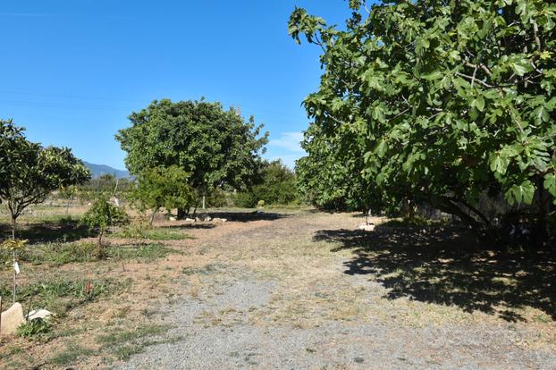 Terreno agricolo