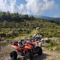 Quad Adly 500 s 5 marce (Polaris Predator)