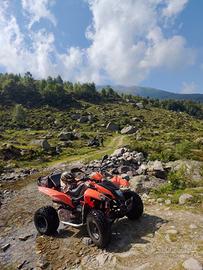 Quad Adly 500 s 5 marce (Polaris Predator)