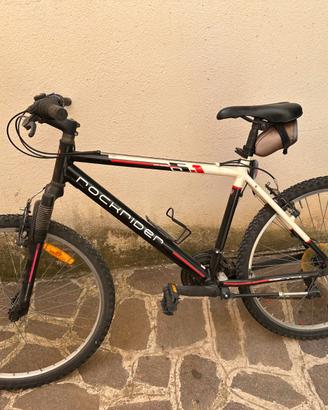 Biciclette mountain bike