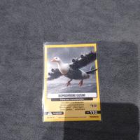 carta brainrot 89 bombombini gusini 