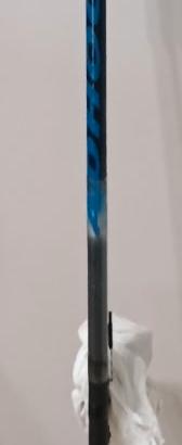 canna bolognese 5 mt