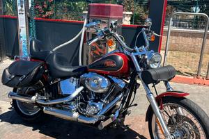 Harley Davidson softail custom