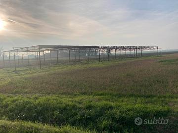 Hangar aerei/attrezzi