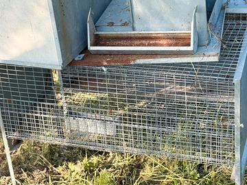 Gabbie galline, quaglie